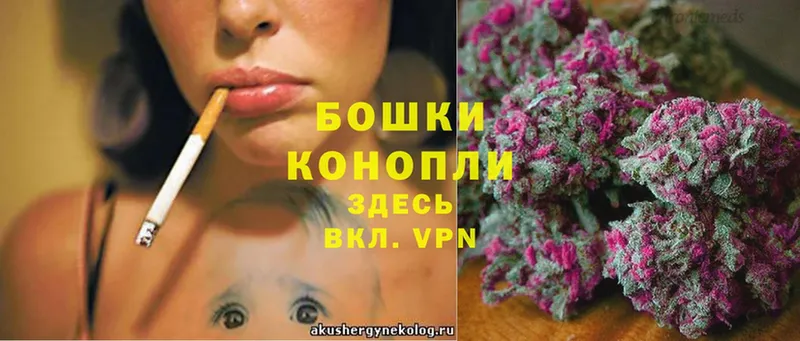 Бошки Шишки Bruce Banner  Лесозаводск 